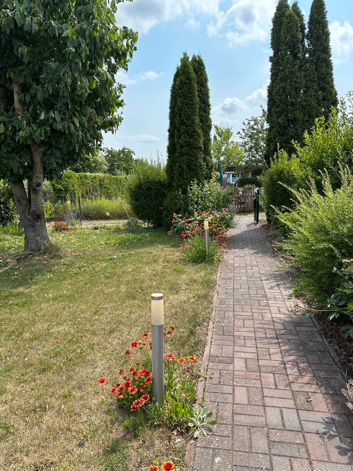 Kleingarten Gartenhaus Ferienhaus 400m² Pachtgarten in Gebesee in Gebesee