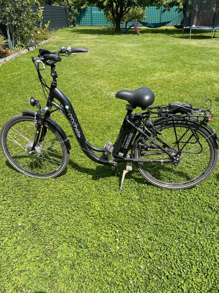 E-Bike Ebike Fahrrad Reparatur Aldi Lidl Fischer Prophete in Niedersachsen  - Apen | eBay Kleinanzeigen ist jetzt Kleinanzeigen