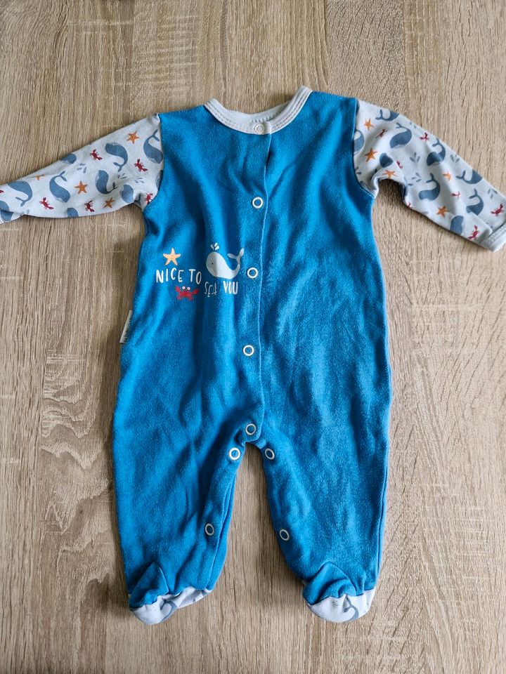 Babykleidung Gr. 62 in Menden