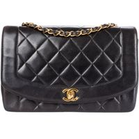 Chanel Brown Quilted Lambskin 24K Gold Diana Single Flap Bag Sachsen-Anhalt - Halle Vorschau