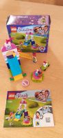 Lego friends Rutsche Nr 41396 Bayern - Edling Vorschau