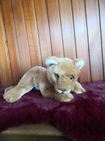 Löwe Löwin Puma von Schildkröt selten Niedersachsen - Achim Vorschau