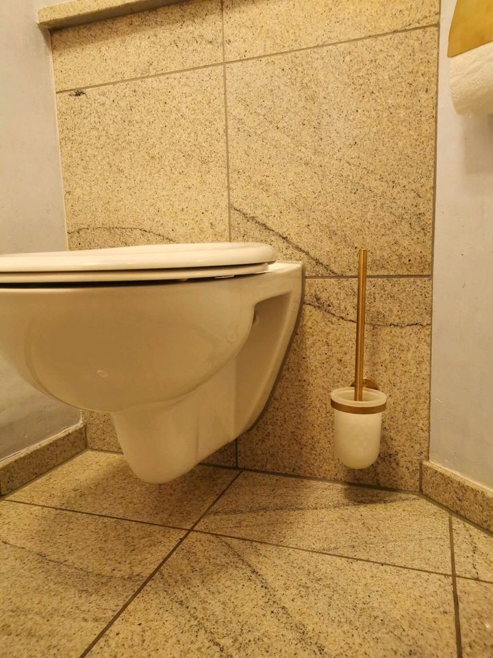 Spülrandloses WC von Vigour in Bubesheim