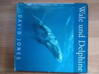 Buch Wale und Delfine von David Jones Niedersachsen - Sehnde Vorschau