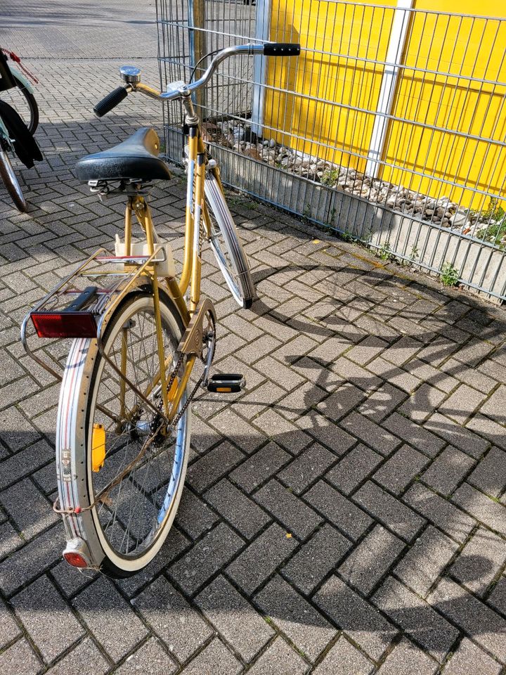 Fahrrad Göricke Regina Retro Damenrad in Schwetzingen