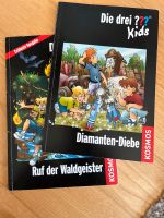 Die drei ??? Kids - Diamanten-Diebe/ Ruf der Waldgeister Östliche Vorstadt - Fesenfeld Vorschau