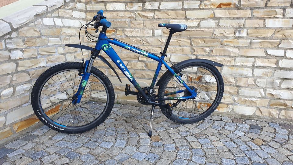 Univega X Fighter Mountainbike 26 Zoll Kinder Herren in Buxheim