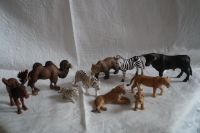 Schleich Wildtiere Löwen, Tiger, Bär, Elch, Zebra, Kamel Set Güstrow - Landkreis - Gülzow-Prüzen Vorschau