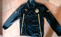 Puma BVB Dortmund Zip-Shirt/Zipper Gr.M    35€ Berlin - Mahlsdorf Vorschau