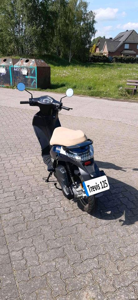 Online Trevis 125 Motorroller in Rosengarten