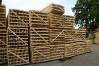 Baumpfähle – Holz – nicht imprägniert – Rohware – Sonderpreise - Niedersachsen - Wagenfeld Vorschau
