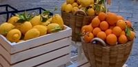 BIO Orangen und Zitronen Köln - Rodenkirchen Vorschau