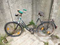 NSU Fahrrad gebraucht Oldtimer Sachsen-Anhalt - Gardelegen   Vorschau