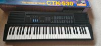 Casio Keyboard CTK 530 Bayern - Regen Vorschau