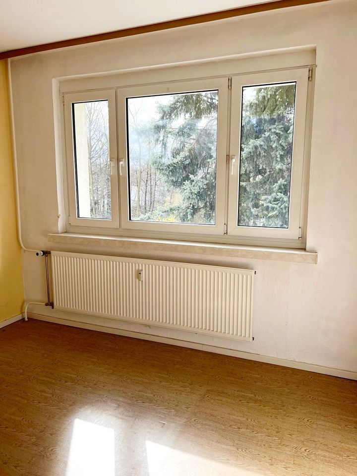 2-Raumwohnung mit Balkon in schöner Lage in Borna