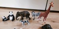 Schleich Tiere, Elefant, Giraffe, Panda, Zebra, Schildkröte, Hund Baden-Württemberg - Rastatt Vorschau