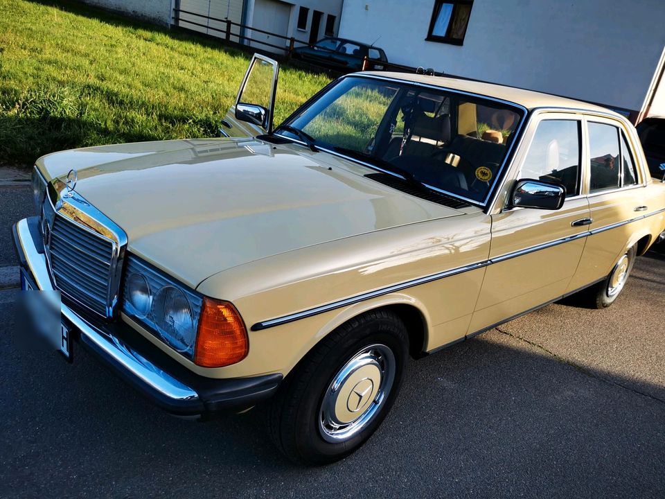 Mercedes Benz W123 230 in Dachau