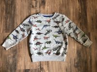 kuscheliger Pullover mit Dinosauriern Gr. 110/116 Niedersachsen - Neu Wulmstorf Vorschau