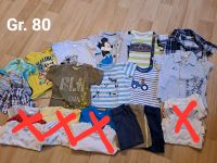 Sommer Kleiderpaket Junge Shirts Shorts Gr. 80 Hessen - Eichenzell Vorschau