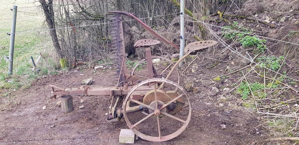 Fella Anhängemähwerk Einachser Holder Bungartz Monax in Velburg