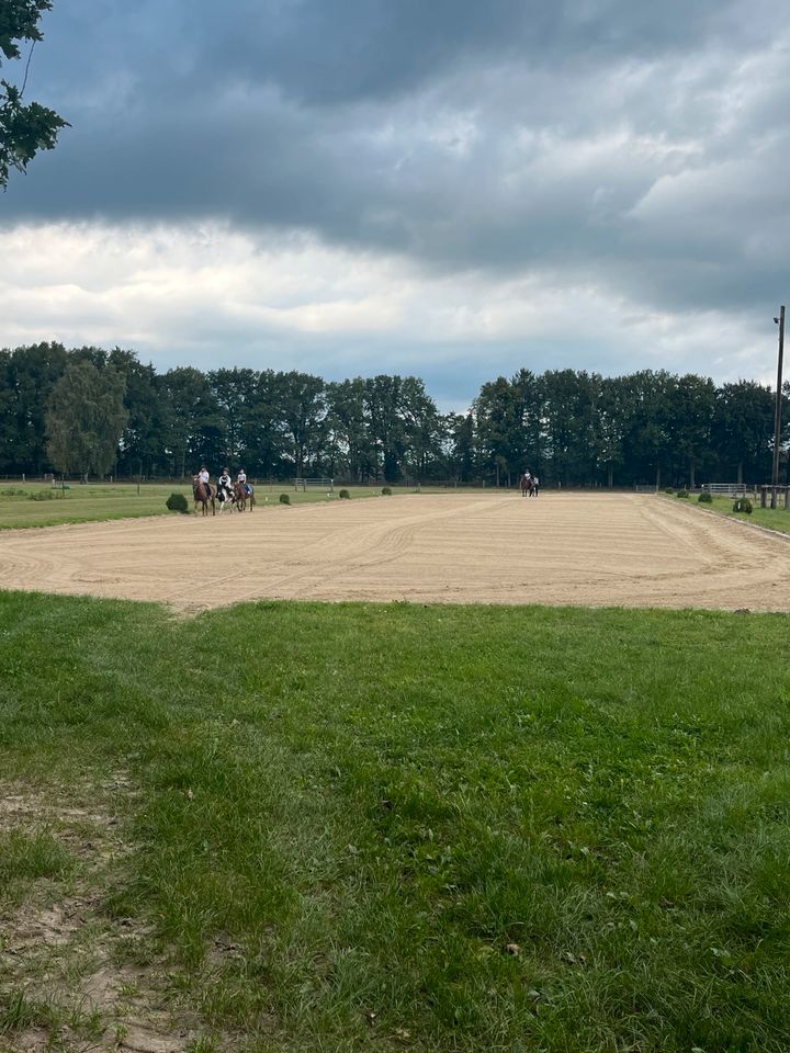 Reitunterricht/Reitlehrer/Ausritte/Reitbeteiligung in Bliedersdorf