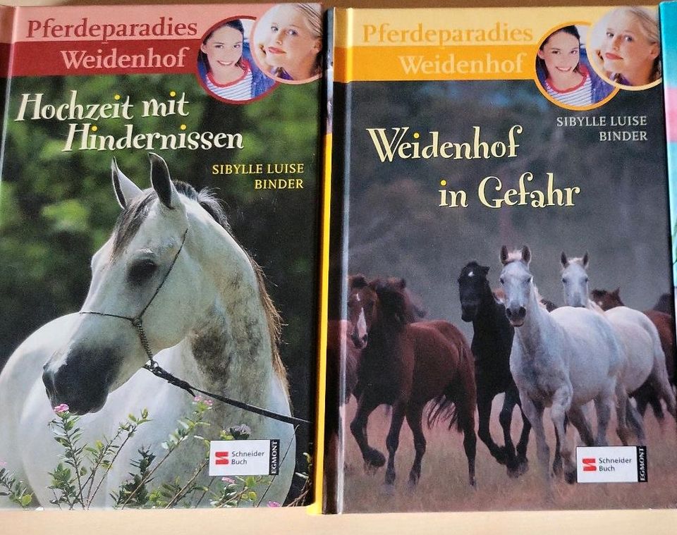 Pferdeparadies Weidenhof Bücher für Mädchen in Hachenburg