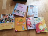 Babybücher Schwangerschaft Bücher Nürnberg (Mittelfr) - Nordstadt Vorschau