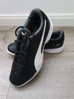 Puma Sportschuhe Hallenschuhe Tenaz Sneaker Turnschuh Gr. 40 Bothfeld-Vahrenheide - Isernhagen-Süd Vorschau