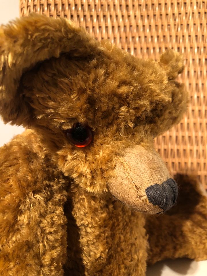 Künstlerteddy Teddybär Strohfüllung Buckel in Baden-Württemberg - Offenburg  | Kuscheltiere günstig kaufen, gebraucht oder neu | eBay Kleinanzeigen ist  jetzt Kleinanzeigen