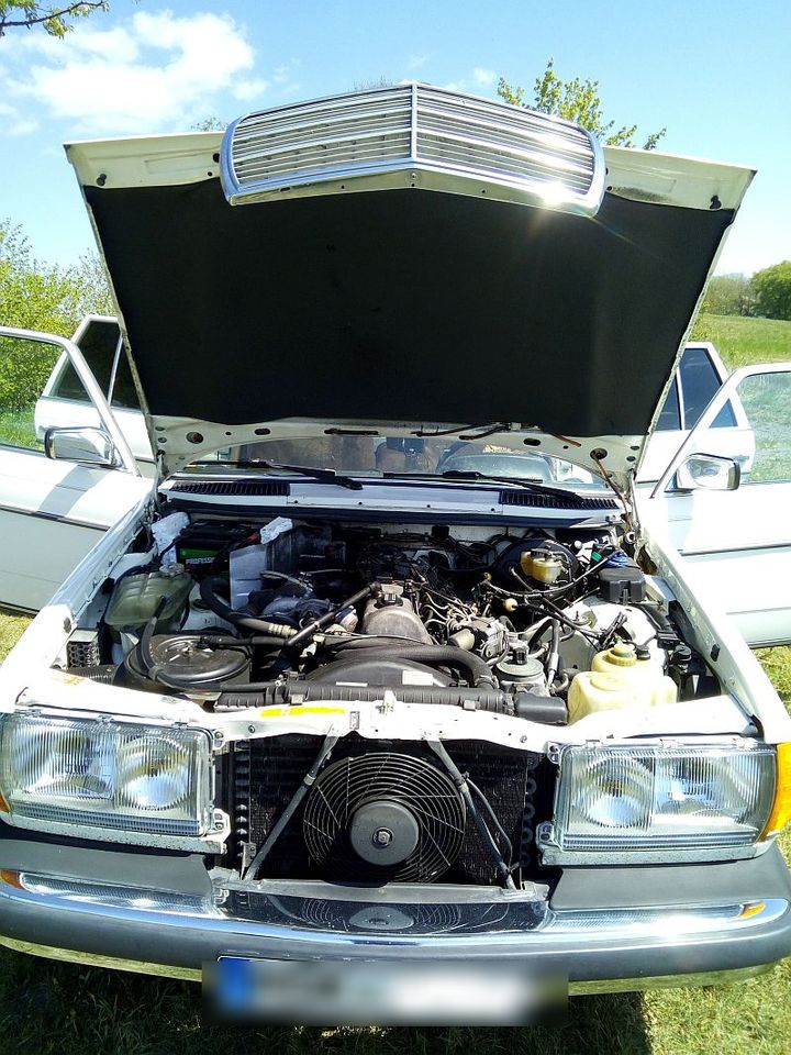300 TDT Turbodiesel, W 123,Mercedes-Benz,Oldtimer,Kombi,Turbo in Meschede