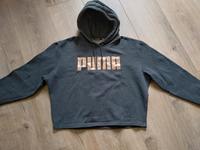Hoodie Kapuzenpullover M Puma Rosegold Niedersachsen - Hatten Vorschau