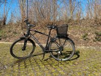 Fahrrad Scott schwarz matt Trekking Stadtrad Nordrhein-Westfalen - Lemgo Vorschau