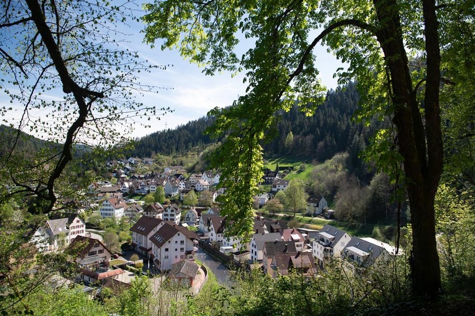 Unbebautes Grundstück angrenzend an Wohnsiedlung in Schiltach