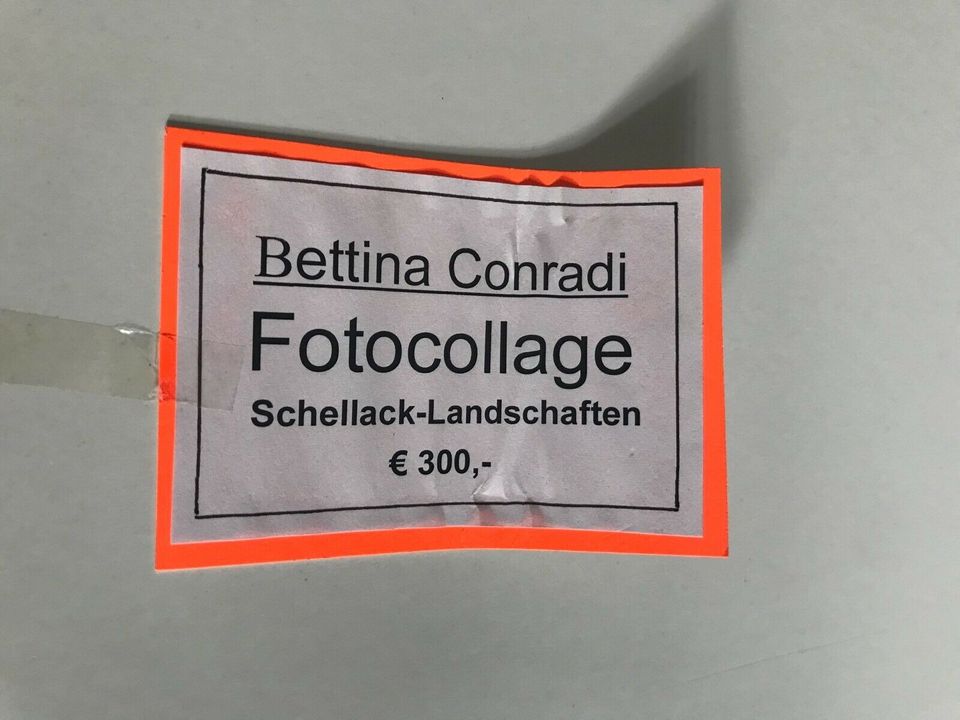 Schellack Landschaften v. B. Conradi Vinyl Schallplatte Bild in Bremen