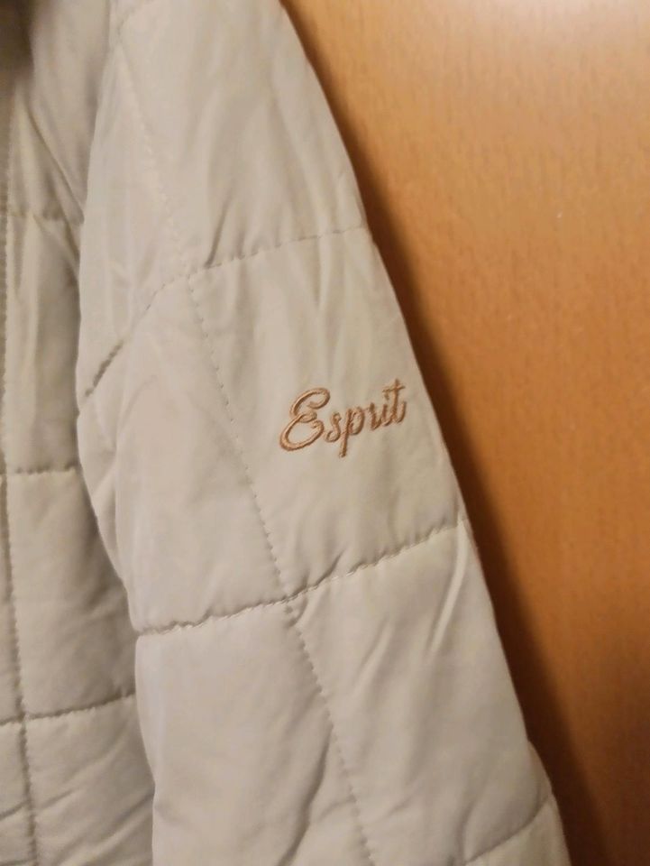 ESPRIT Winterjacke in beige in Dortmund