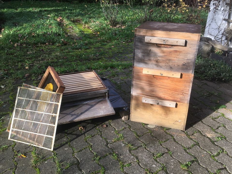 Bienenkasten für Ableger, Schwarm, Imker, Bergwinkel-Beute DNM in Grebenhain