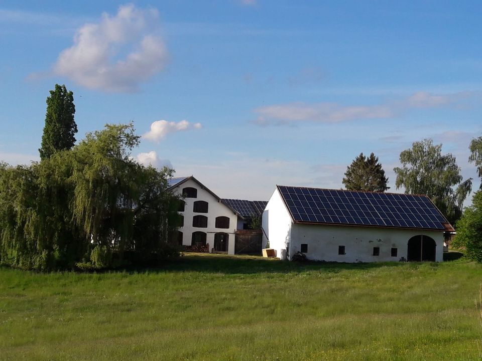 Appartement Bauernhof Nähe Geisenhausen kurzfristig zu vermieten in Geisenhausen