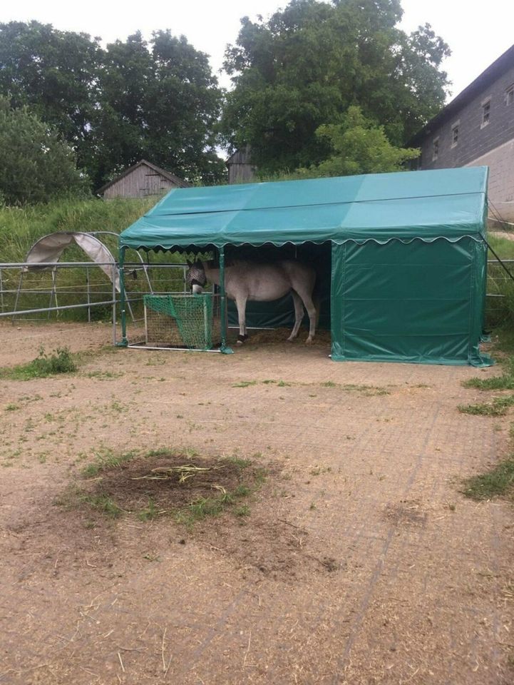 Lagerzelt 3x6 m Weidezelt Garagenzelt Unterstand Stahlgestell in Bielefeld