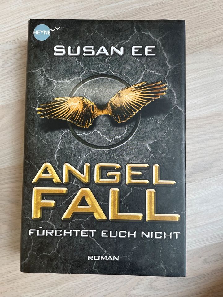 Angel fall - Susan Ee in Duisburg
