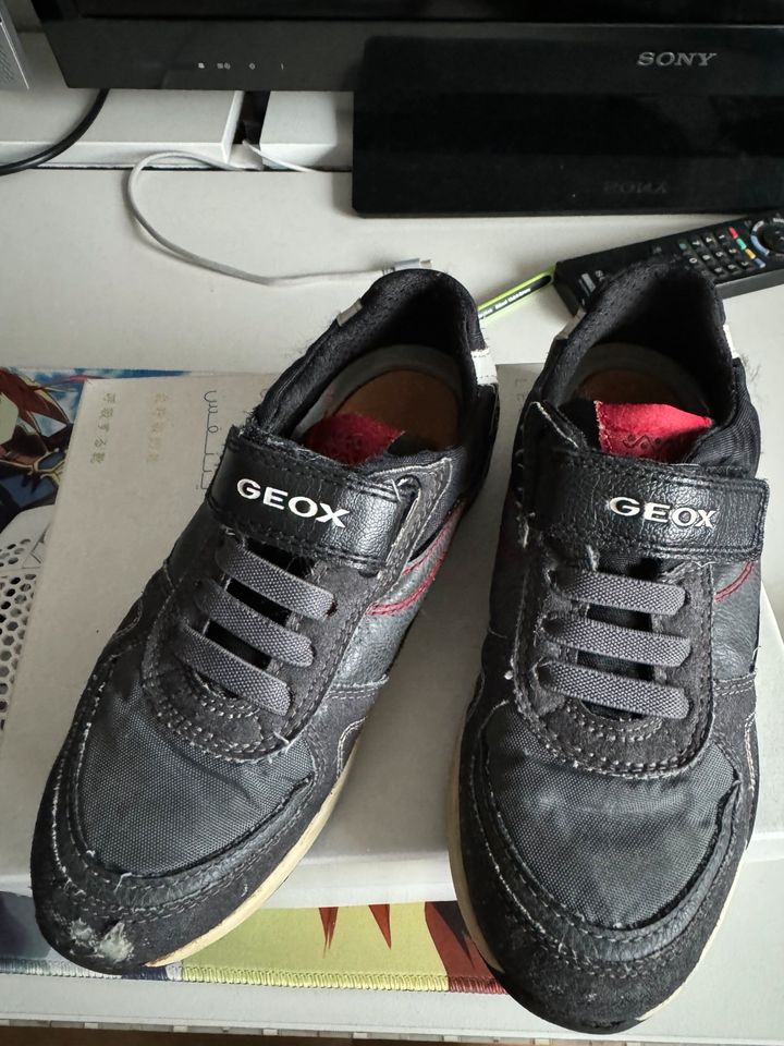 Geox Sneaker Gr 32 in Köln