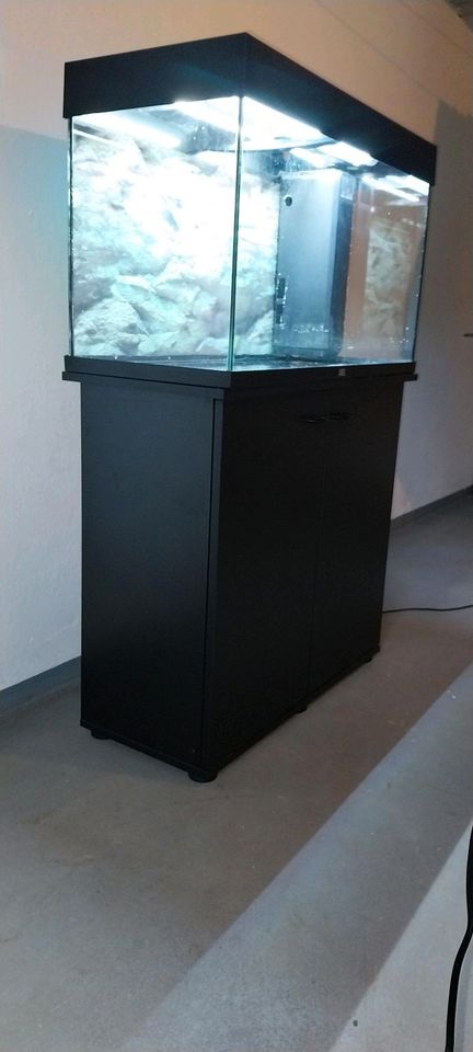 Aquarium Juwell Rio 125 in Eltmann