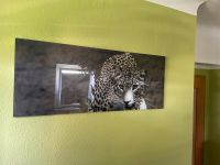 Glasbild Leopard Dresden - Gorbitz-Ost Vorschau