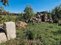 Naturstein mit Löchern, Lochgestein, Gartenfelsen, Schmuckstein Sachsen - Wermsdorf Vorschau