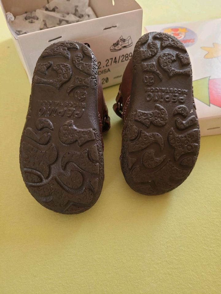 Pepino Schuhe Größe 20 in Landau in der Pfalz