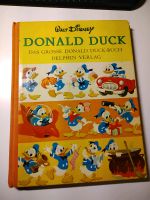 Das große Donald Duck Buch, Rarität von 1967 Friedrichshain-Kreuzberg - Kreuzberg Vorschau