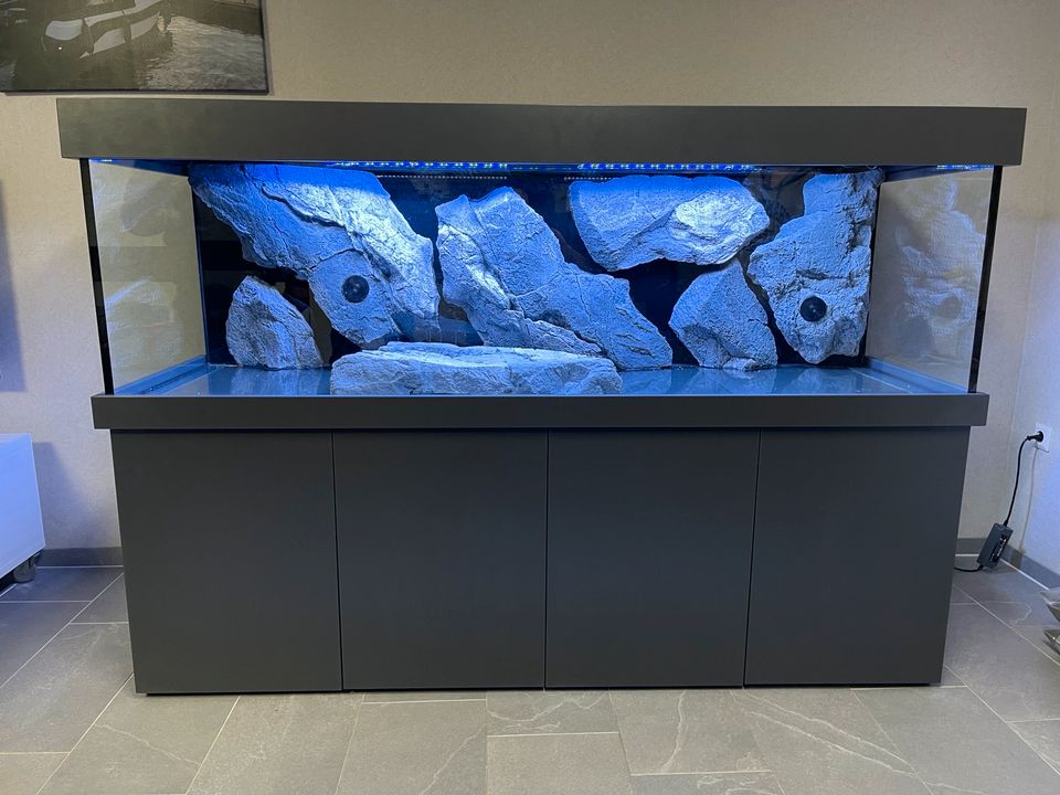 Aquarium Kombination 160x60x60cm 576Liter in vielen Dekoren NEU! in Dortmund