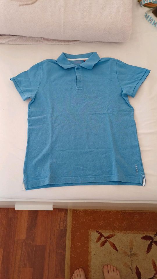 Tshirt, Poloshirt Größe m, Größe ca. 140 in Harpstedt