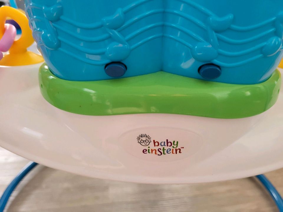 Fisher Price Babyhopser Baby Wippe Hopser in Butjadingen