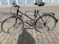 Fahrrad Peugot Boston inklusive Bügelschloss Nordrhein-Westfalen - Köln Vogelsang Vorschau