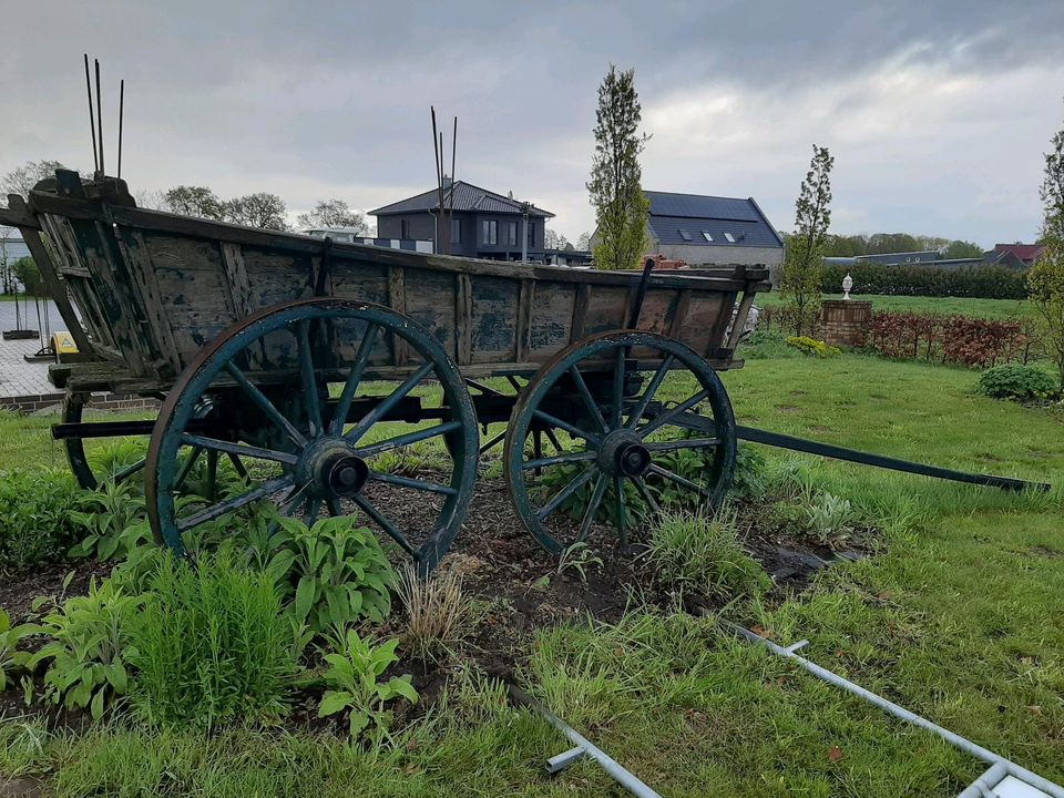 Alter Ackerwagen, Heuwagen, Leiterwagen in Apen